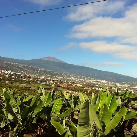 Harmony House Beside Sea La Orotava